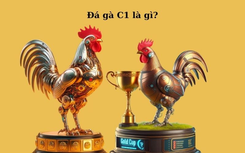 Đá Gà Trực Tiếp C1 Là Gì?