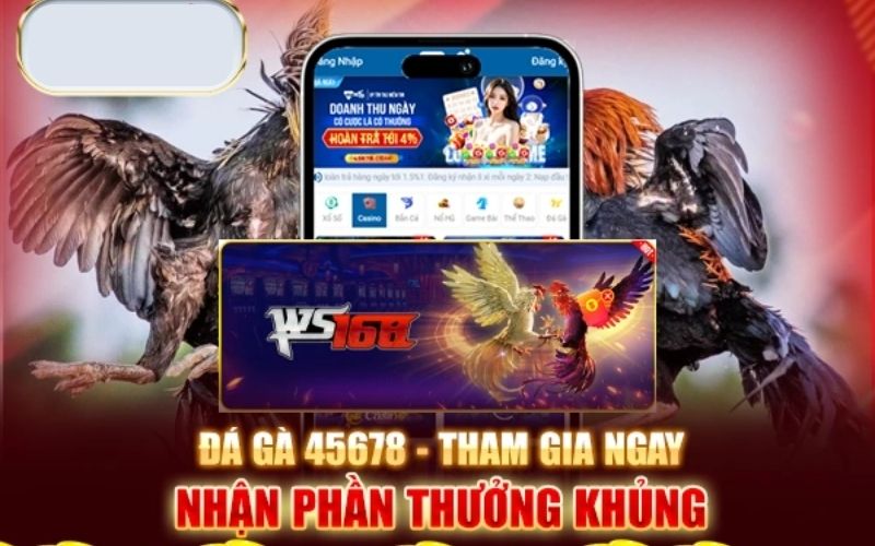 Tại Sao Nên Chọn Đá Gà 45678?